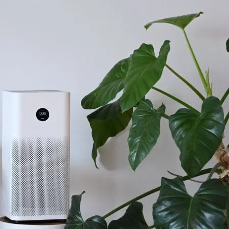 Indoor Air Purification